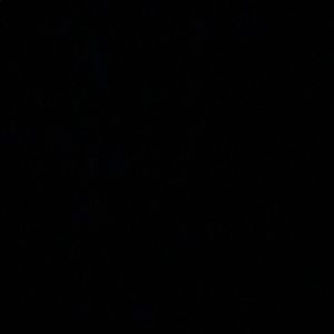 Meet your Posher, Davin